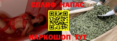 индика Бузулук