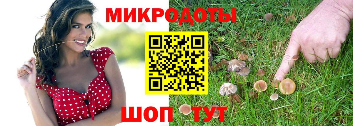 Галлюциногенные грибы мицелий  Вход с VPN  Псилоцибиновые грибы Magic Shrooms  Норильск 